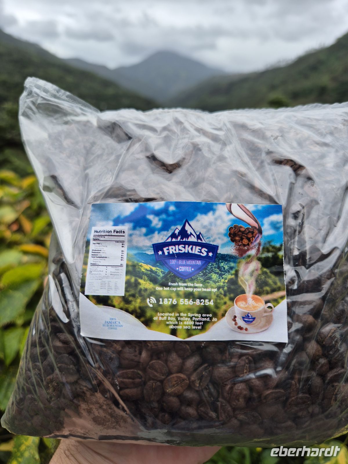 Kaffee in den Blue Mountains