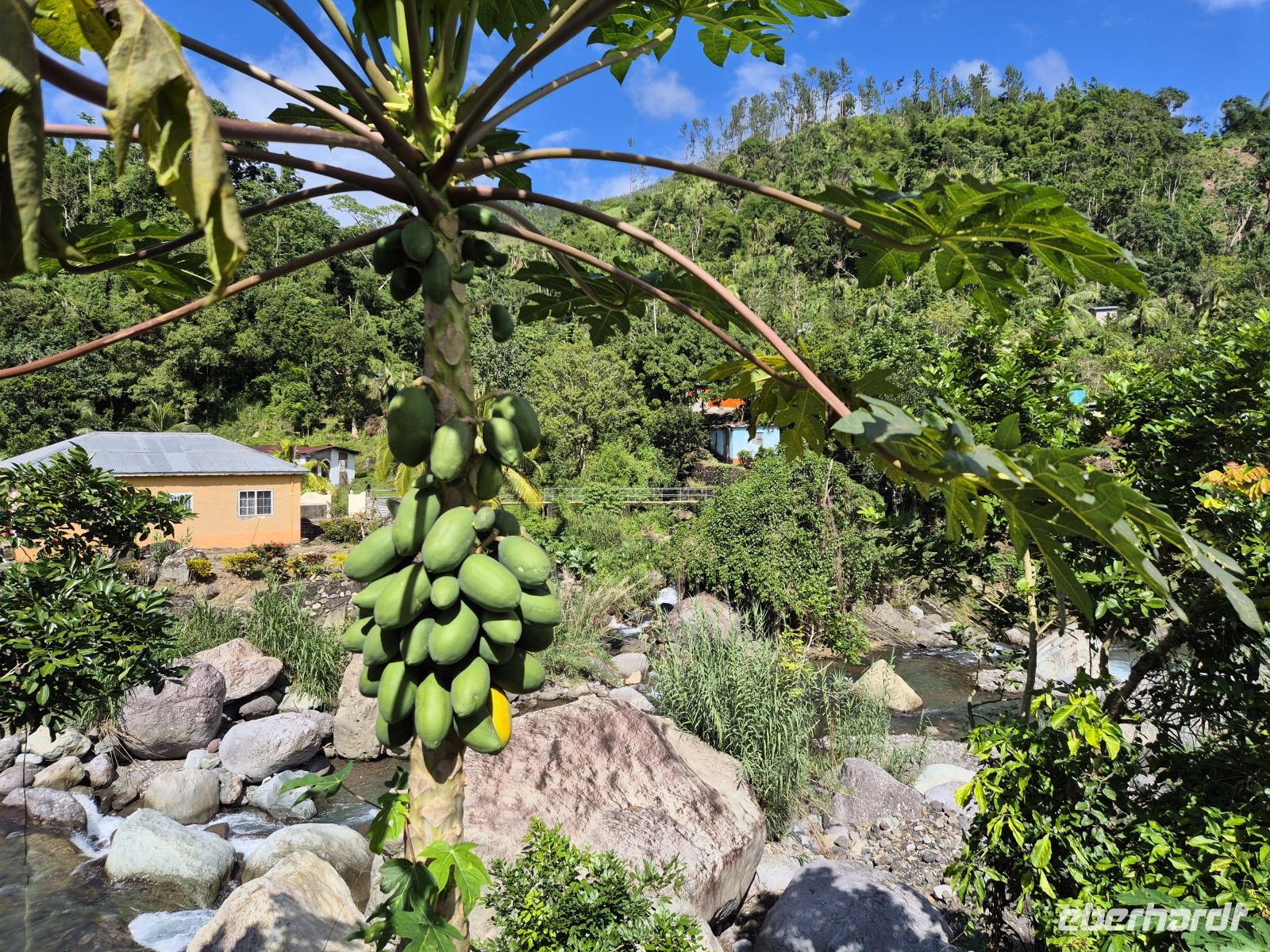 in den Blue Mountains