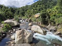 in den Blue Mountains