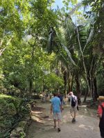 Mayastätte Chacchoben