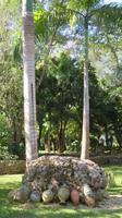 Altos de Chavon