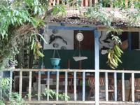 Auf den Kanälen von Tortuguero
