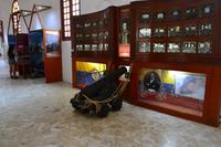Cartagena (50)
