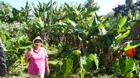 Farmbesuch in Jamaika