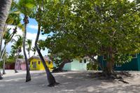 Isla Catalina (10)