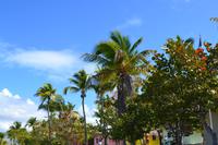 Isla Catalina (16)
