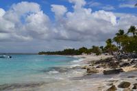 Isla Catalina (17)
