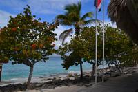 Isla Catalina (8)