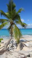 Isla Catalina