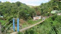Jamaika, Blue Mountains