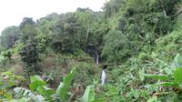 Jamaika, Blue Mountains