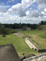 Mayastätte Altun Ha - Ausblick von oben!