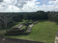 Mayastätte Altun Ha - Ausblick von oben!
