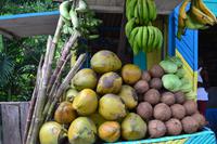 Ocho Rios (12)