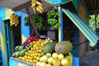 Ocho Rios (13)