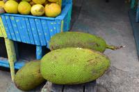 Ocho Rios (14)