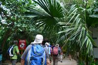 Tulum (3)