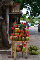 Tulum (31)