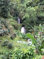 Wasserfall in den Blue Mountains