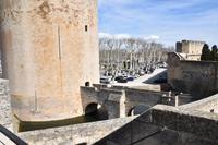 0292 Bus 1 - Aigues Mortes