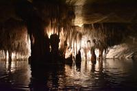 0437 Bus 1 - Mallorca_Drachenhöhle