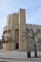 0256 Bus 1 - Saintes-Maries-de-la-Mer