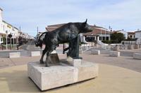 0262 Bus 1 - Saintes-Maries-de-la-Mer