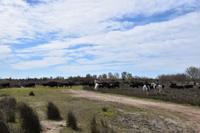 0279 Bus 1 - Manade Gilbert Arnaud