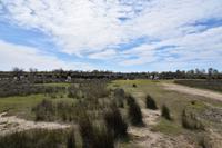 0280 Bus 1 - Manade Gilbert Arnaud