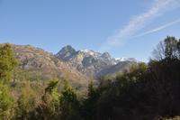 0331 Bus 1 - Korsika