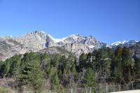 0336 Bus 1 - Korsika