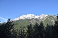 0340 Bus 1 - Korsika