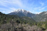 0346 Bus 1 - Korsika