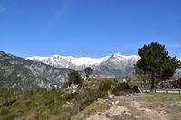 0347 Bus 1 - Korsika