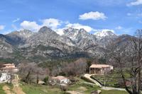 0353 Bus 1 - Korsika