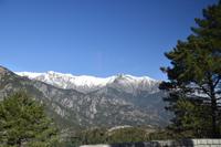 0343 Bus 1 - Korsika