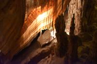 0420 Bus 1 - Mallorca_Drachenhöhle (2)