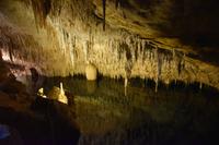 0422 Bus 1 - Mallorca_Drachenhöhle