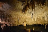 0423 Bus 1 - Mallorca_Drachenhöhle