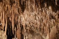 0432 Bus 1 - Mallorca_Drachenhöhle