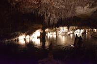 0436 Bus 1 - Mallorca_Drachenhöhle