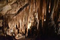 0433 Bus 1 - Mallorca_Drachenhöhle