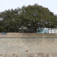 P1190646.,Cartagena (3)