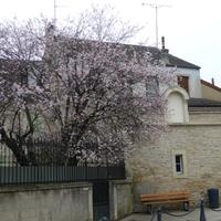 Beaune,Dijon