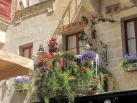 Üppig bewachsener Balkon in Valetta