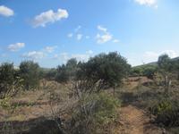 064_Wanderung nach Mgarr