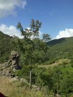 Impressionen von Korsika