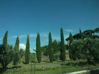 Impressionen von Rom