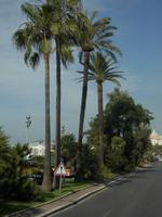 Impressionen von Nizza