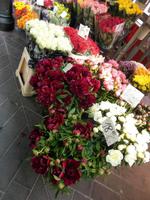 auf dem Blumenmarkt von Nizza